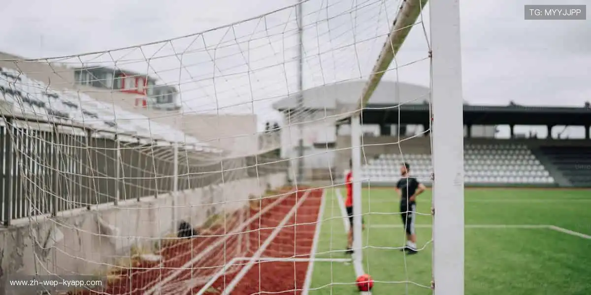 🎁 限量版周边，用细节诠释你对体育的极致热爱！🎲
